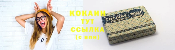 дживик Алзамай