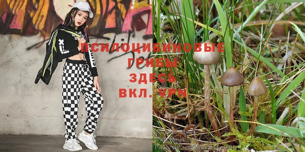 дживик Алзамай