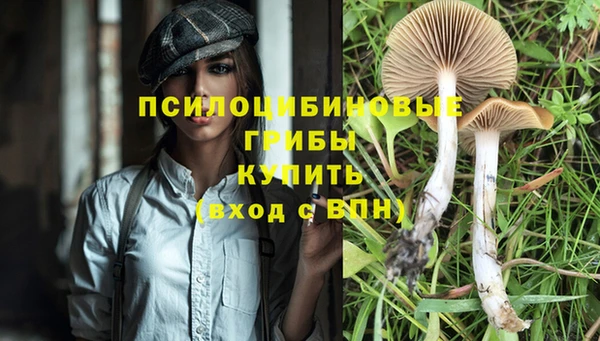 синтетический гашиш Абдулино